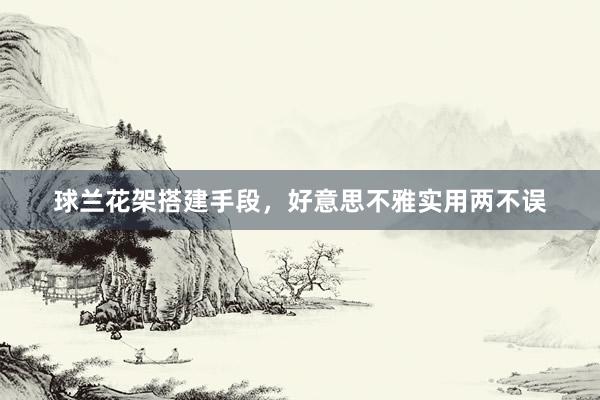 球兰花架搭建手段，好意思不雅实用两不误